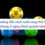 Kinh nghiệm chơi Mậu Binh Online Hướng dẫn, Lời khuyên và Chiến lược