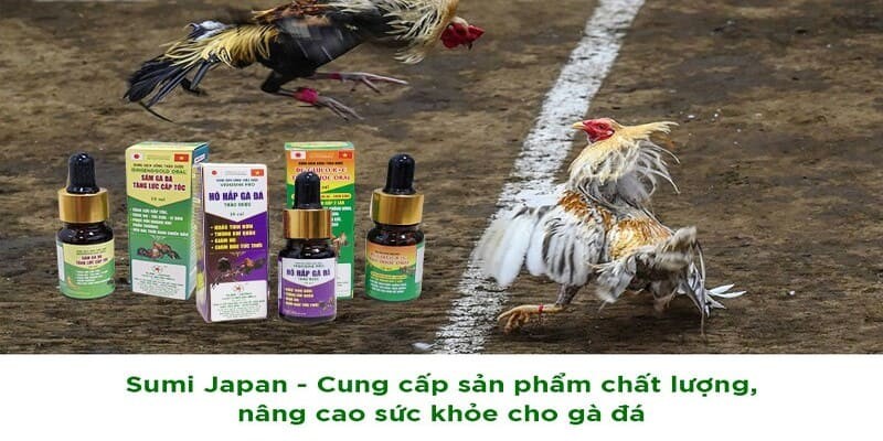 Tìm hiểu về thuốc tăng bo cho gà đá 