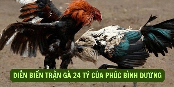 Kết thúc hiệp 3 chiến thắng thuộc về sư kê Mít Trà Cú