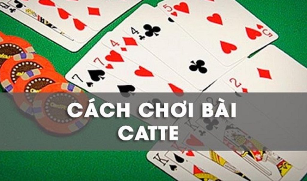 Cách chơi Catte dễ hiểu nhất 